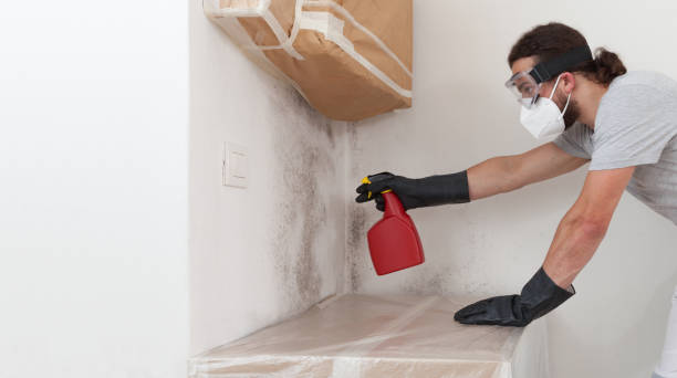 Professional Crawl Space Mold Removal technician working in Cresskill, NJ