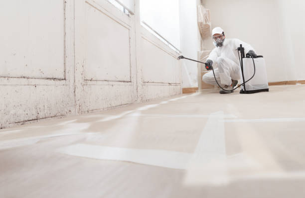 Trusted Crawl Space Mold Removal service in Cresskill, NJ - WQB Mold Removal