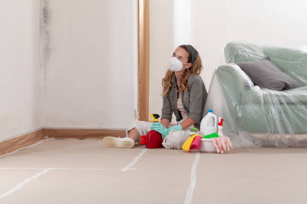 Reliable Crawl Space Mold Removal contractor in Cresskill, NJ by WQB Mold Removal
